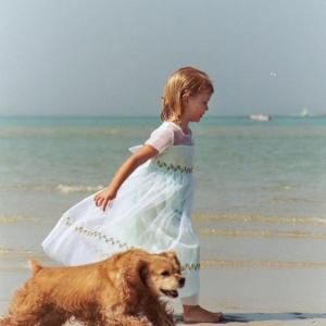 Sweet Summertime Abbey Rose!