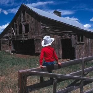 The Old Barn