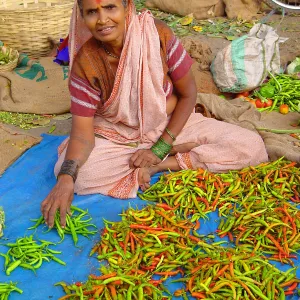 Beautiful Chili Woman