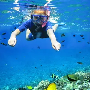 Under the Sea