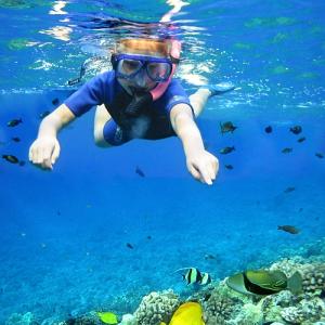 Under the Sea