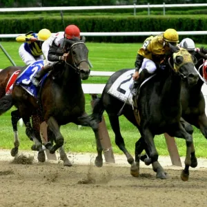 Flying Down the Stretch