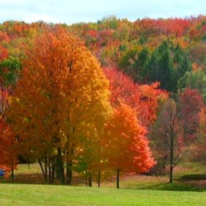 God's Paint Brush