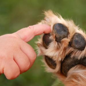 Touch