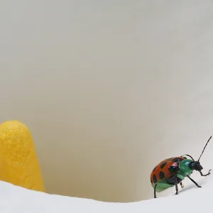 After a Day at the Plant