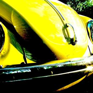 Yellow Happiness