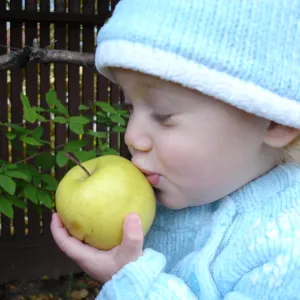 Oh, I Love Apples!