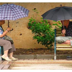The Conversation