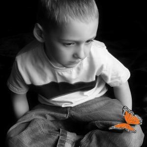 Butterfly Daydream