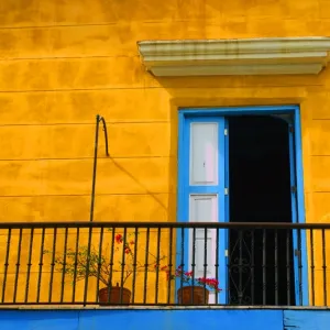 Armony Lines & Color