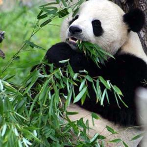 Snack Time