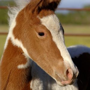 One Day Old
