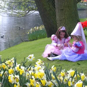 Picnic in Keukenhof