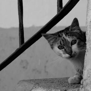 I can see you!