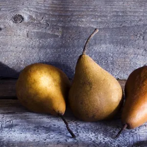 Winter Pears