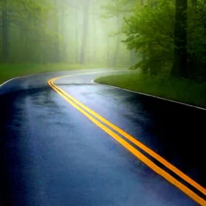 When Life Throws a Curve