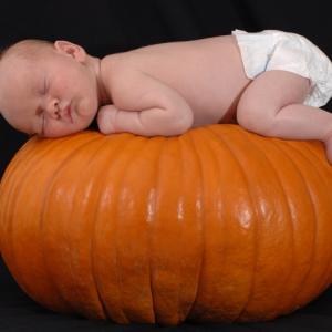 Autumn Newborn