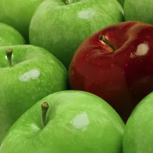 Price check please...