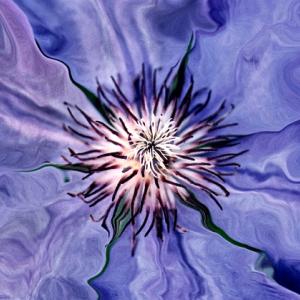 Purple Smoothie