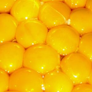 Yolks