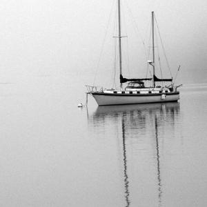 Waiting out the Fog