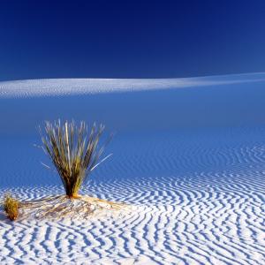 Sands of Time