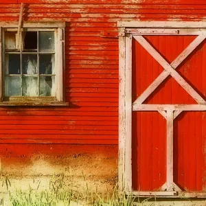 Barn Door & Window