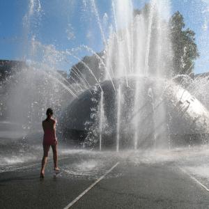 Summer in Seattle