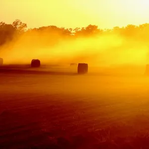 The Way the Wind Blows