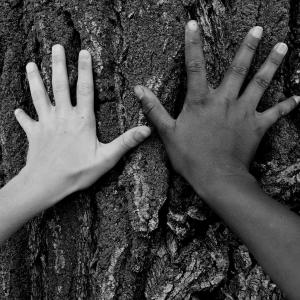 A Glimpse of Unity