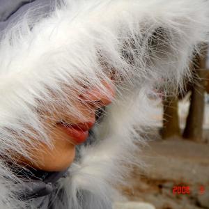 Beauty In the Fur