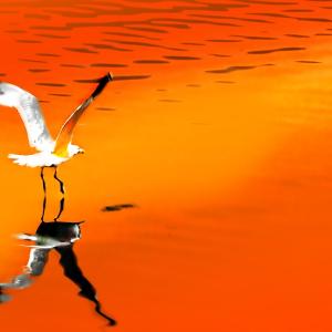 Walking on Water