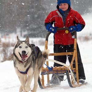 Wee Musher