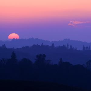 Coral Sunset