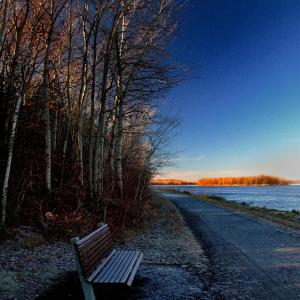 Frosty Seat