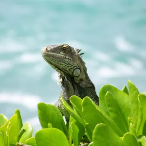 Are you looking for me?