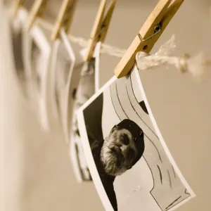 Memories on the Rope