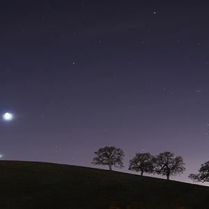 The Stargazers