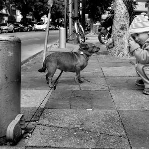 Street Photographer
