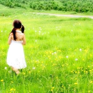 Field of Dreams