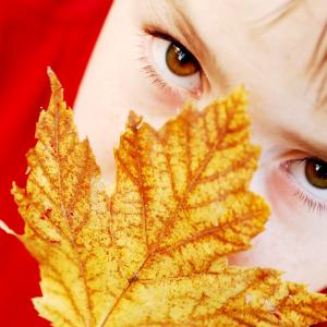 Colors of Fall