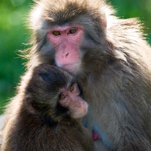 Mother and Child