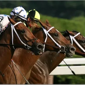 Win, Place and Show.