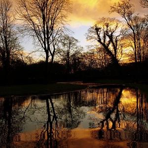 Winter Morning