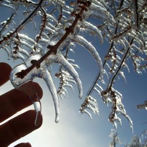 Icy Touch