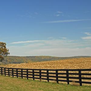 Farmland