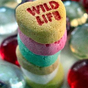 Wild Life