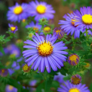 Spring is on the Way