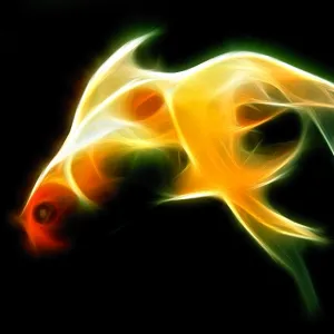 Neon Fish