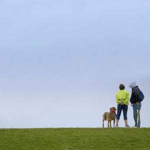 Hilltop Adieu